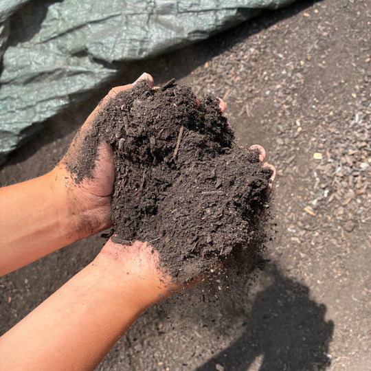 Blue Ribbon Compost (1/2 Yard)