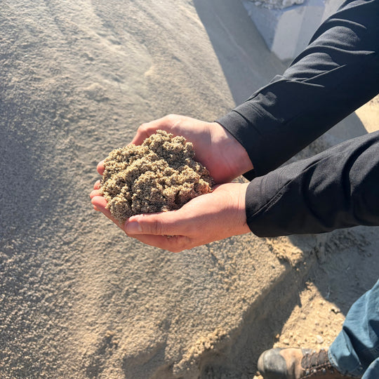 Playground/Beach Sand (1/2 Yard)