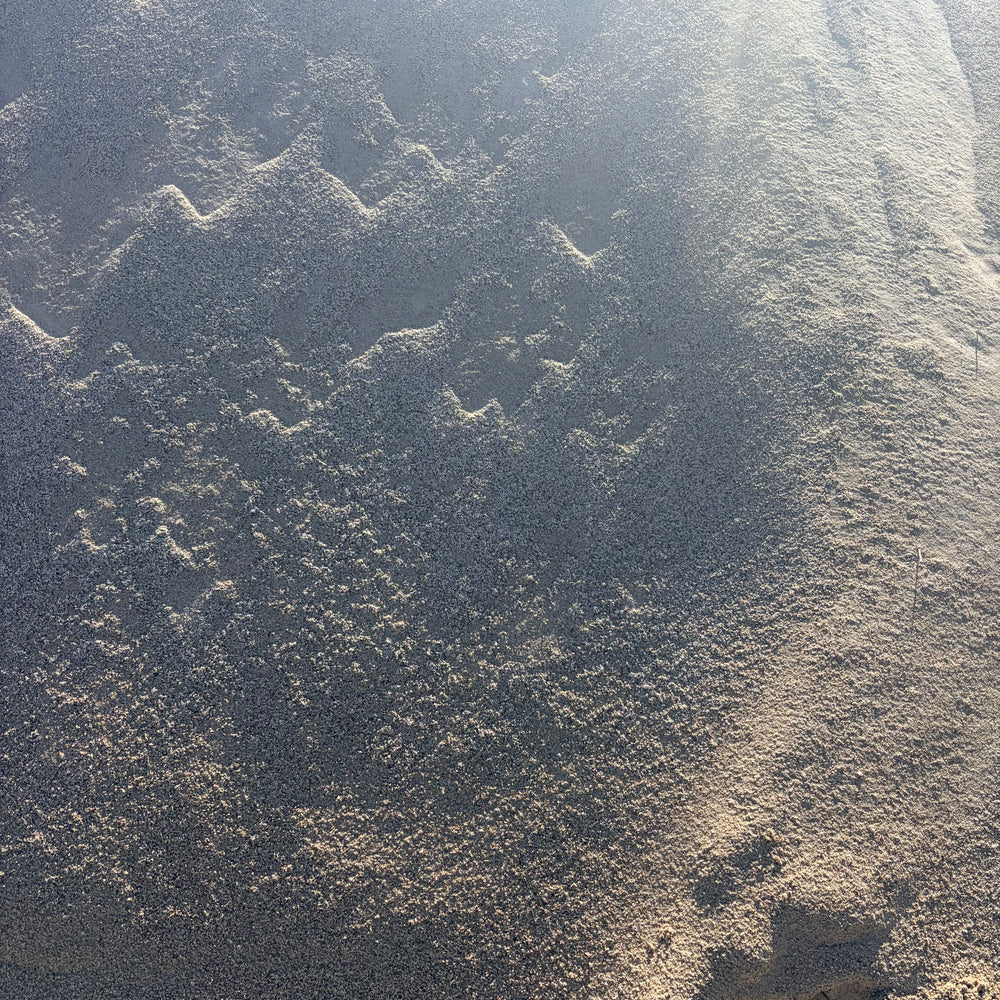 Playground/Beach Sand (1/2 Yard)