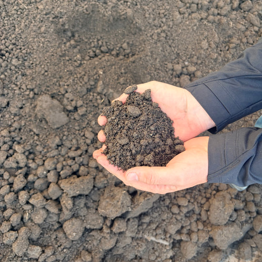 Screened Topsoil (1/2 Yard)