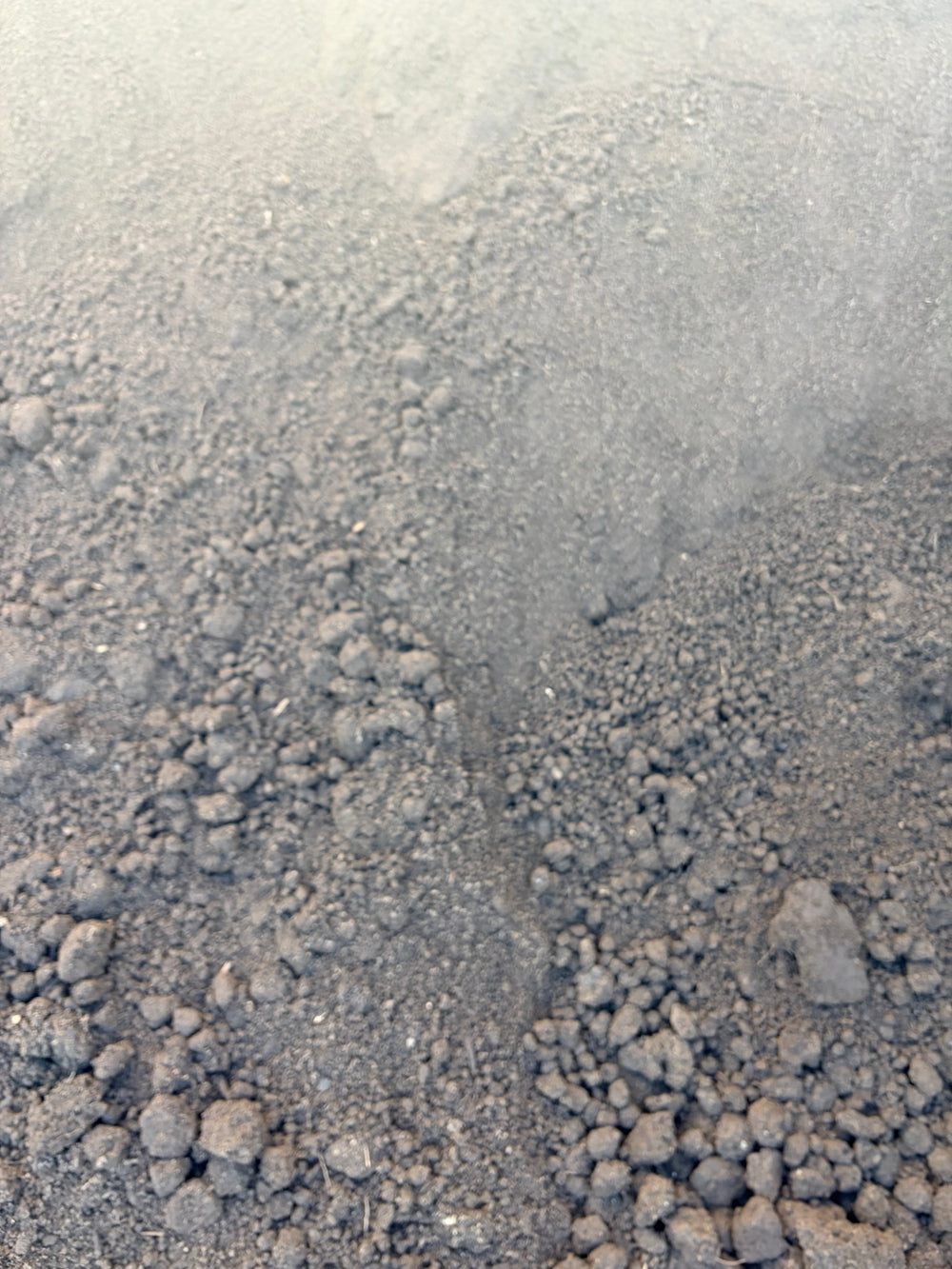 Screened Topsoil (1/2 Yard)