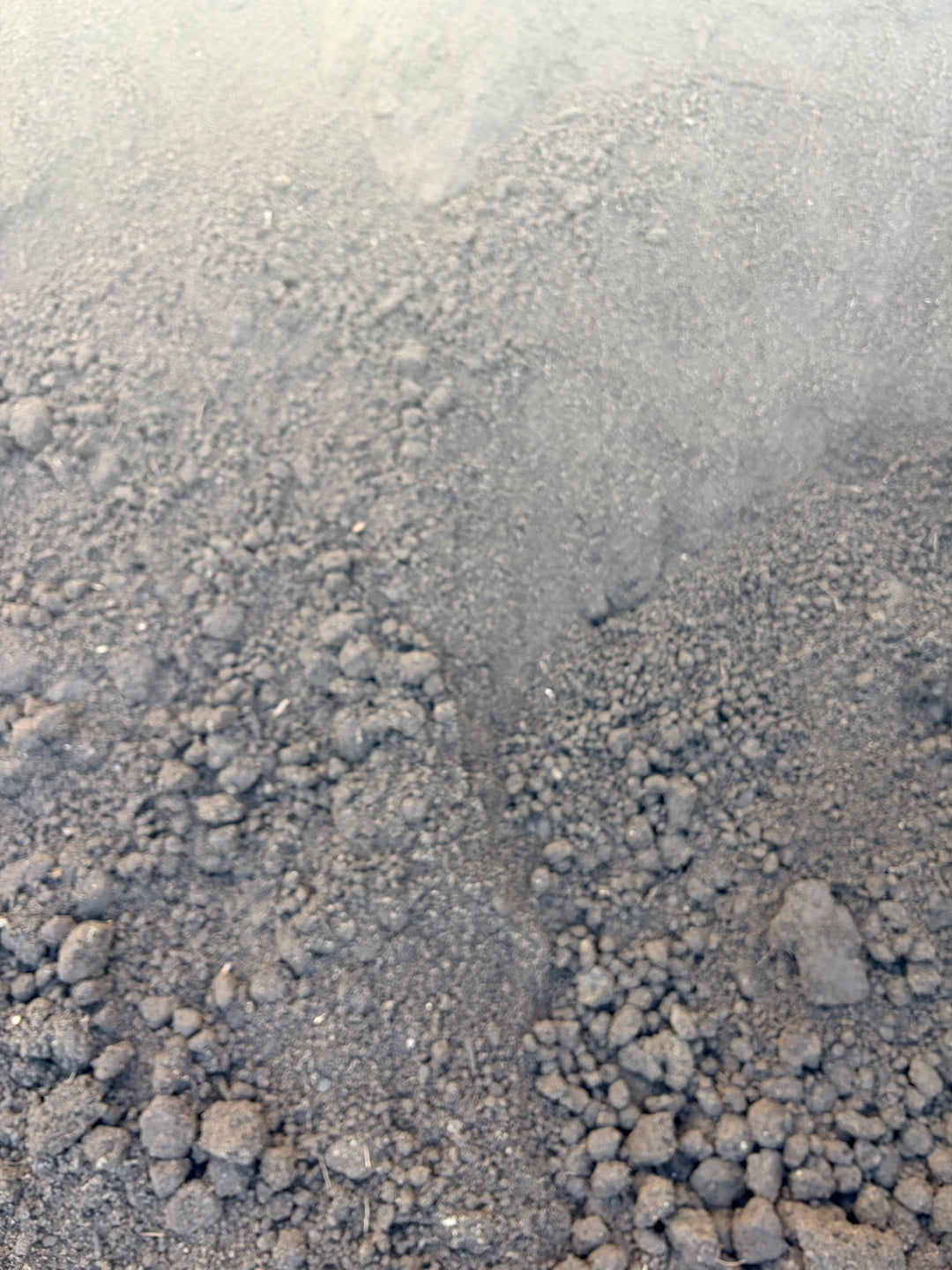 Screened Topsoil (1/2 Yard)