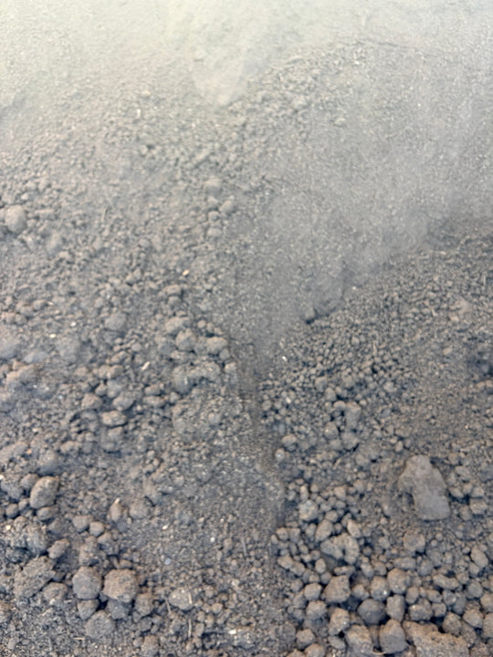 Screened Topsoil (1/2 Yard)