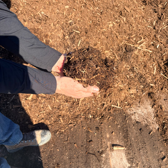 Premium Double Ground Mulch (1/2 Yard)